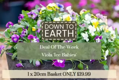 Dobbies catalogue Page 1