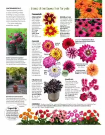 Webbs leaflet Page 21