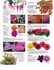 Webbs leaflet Page 23