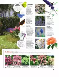 Webbs leaflet Page 25