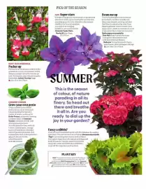 Webbs leaflet Page 3
