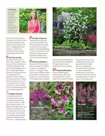Webbs leaflet Page 7