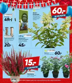 Bilka tilbudsavis Side 10: Fuglefoderstationer €20,00, Salling Sphagnumfri krukke & pottejord €45,00