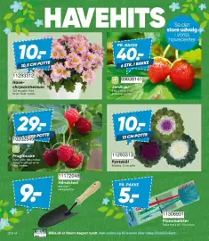Bilka tilbudsavis Side 8: Fluesmækker €5,00, Frugtbuske €29,00