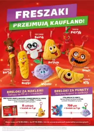 Kaufland gazetka tydzień 33 Strona 17