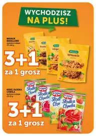 Groszek gazetka | Supermarket Strona 13