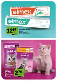 Groszek gazetka | Supermarket Strona 41: Karma Whiskas dla kota €2,79, PASTA DO ZĘBÓW ELMEX wybrane rodzaje €12,97