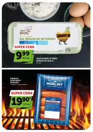 Groszek gazetka | Supermarket Strona 5: Jaja Wolny Wybieg Kurza Paczka M €9,99, Kielbasa Morlińska Morliny €19,90