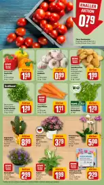 REWE City Prospekt woche 33 Seite 5