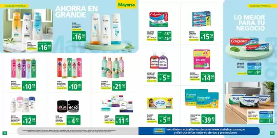 Catálogo Mayorsa Página 10