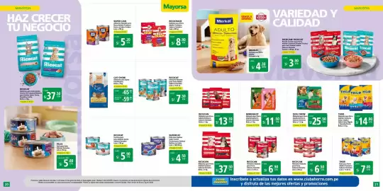 Catálogo Mayorsa Página 11