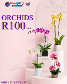 Take 'n Pay catalogue Page 2