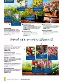 BBM Baumarkt Prospekt Seite 188