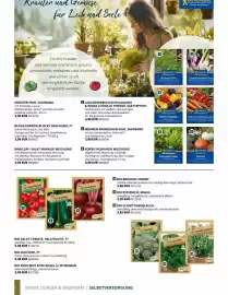 BBM Baumarkt Prospekt Seite 198