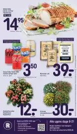 REMA 1000 tilbudsavis uge 34 Side 20: REMA 1000 Dansk ovnklar flæskesteg €14,95, Frilands chrysanthemum €30,00