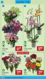 ALDI folder week 34 Pagina 30