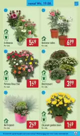 ALDI folder week 34 Pagina 31