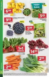 Stokrotka gazetka tydzień 33 Strona 10: Mix Sałat Klasyczny XXL Gardinia €2,99, Winogrona Różowe €14,99