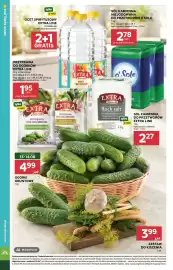 Stokrotka gazetka tydzień 33 Strona 34: Ogórki €4,99, Sól kamienna O'Sole €2,78