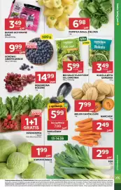 Stokrotka Market gazetka tydzień 33 Strona 15