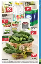 Stokrotka Market gazetka tydzień 33 Strona 23