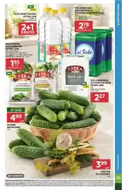 Stokrotka Market gazetka tydzień 33 Strona 23