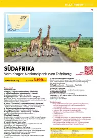 Billa Reisen Flugblatt Seite 13: SÜDAFRIKA Vom Kruger Nationalpark zum Tafelberg €3.199,00