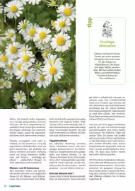 Lagerhaus Flugblatt Seite 18