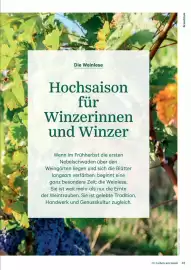 Lagerhaus Flugblatt Seite 33