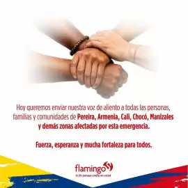 Catálogo Flamingo Página 1
