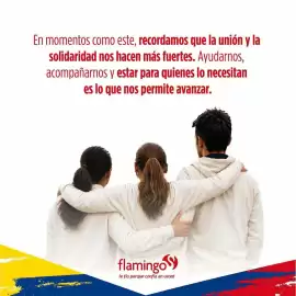 Catálogo Flamingo Página 2