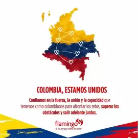 Catálogo Flamingo Página 3