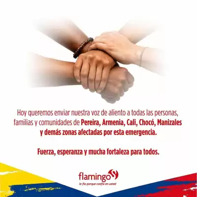 Flamingo (válido hasta 27-08)