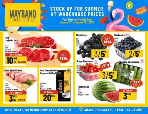 Mayrand flyer