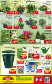 Zimmermann Prospekt woche 34 Seite 16