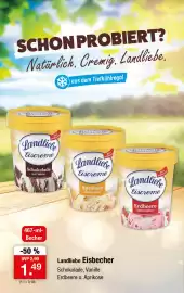 Zimmermann Prospekt woche 34 Seite 2