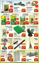 Zimmermann Prospekt woche 34 Seite 7