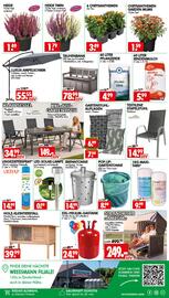 Wreesmann Prospekt woche 34 Seite 12