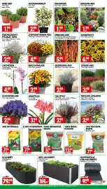 Wreesmann Prospekt woche 34 Seite 3
