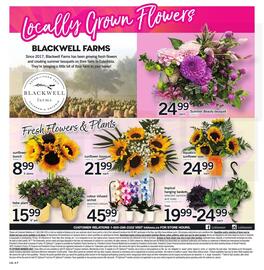 Loblaws flyer week 33 Page 8
