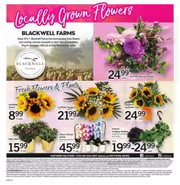 Loblaws flyer week 33 Page 8