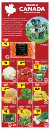 Real Canadian Superstore flyer week 33 Page 11