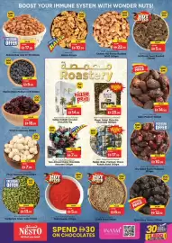 Nesto catalogue Page 11