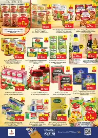 Nesto catalogue Page 7