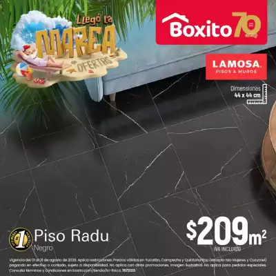 Boxito (válido hasta 31-08)