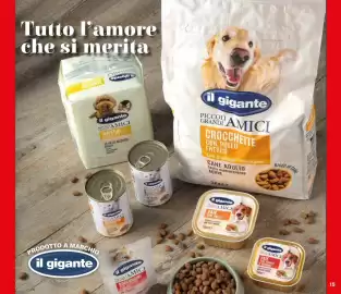 Volantino Il Gigante Pagina 15
