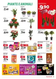 Volantino Bennet Pagina 23: Alimento umido per gatti Gourmet Gold €2,29, Alimento umido per gatti Poésie Vitakraft €0,59