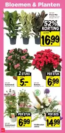 Vomar Voordeelmarkt folder Pagina 31