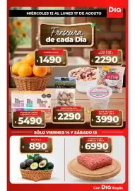 Folleto Supermercados DIA semana 33 Página 1: Carne picada especial €6.990,00, Palta €890,00
