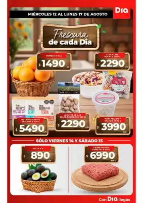 DIA (válido hasta 17-08)